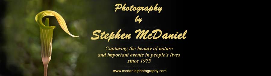 McDaniel Nature, Fine Art and Event Photography